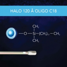 BC - 120 A Oligo Thumbnail