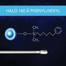 BC - 160 A Phenyl-Hexyl Thumbnail