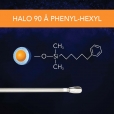 SM - 90 A Phenyl Hexyl Thumbnail