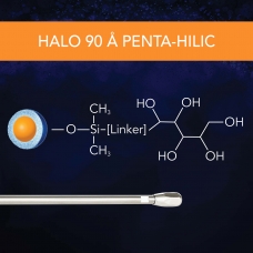 SM - 90 A Penta HILIC Thumbnail