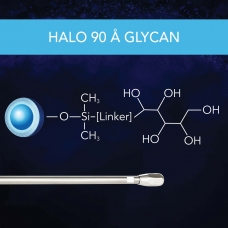 BC - 90 A Glycan Thumbnail